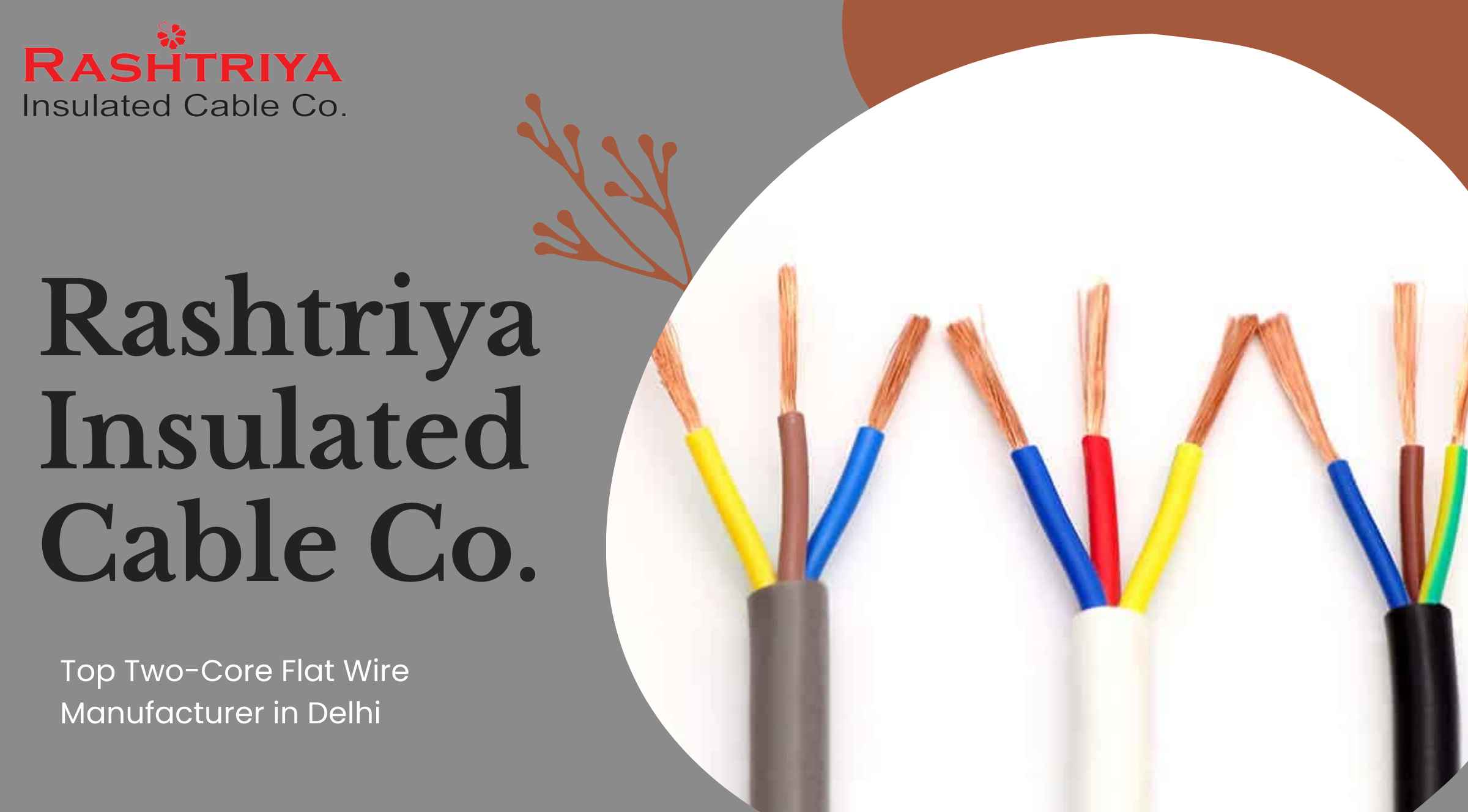 Two-Core Flat Wire Manufacturer in Delhi